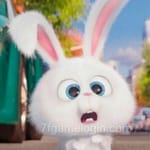 Avatar de Carla Rivera